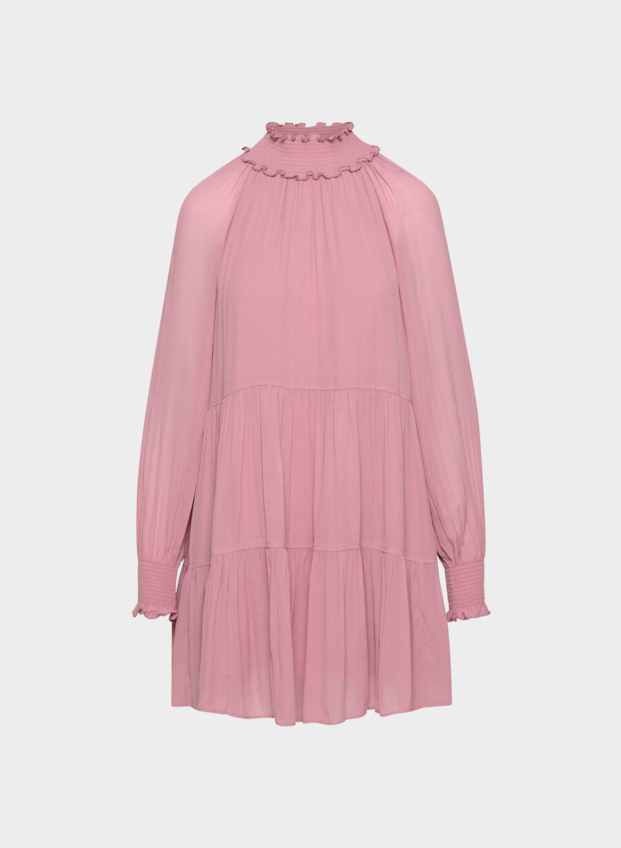 vestito di agrifoglio bacca congelata