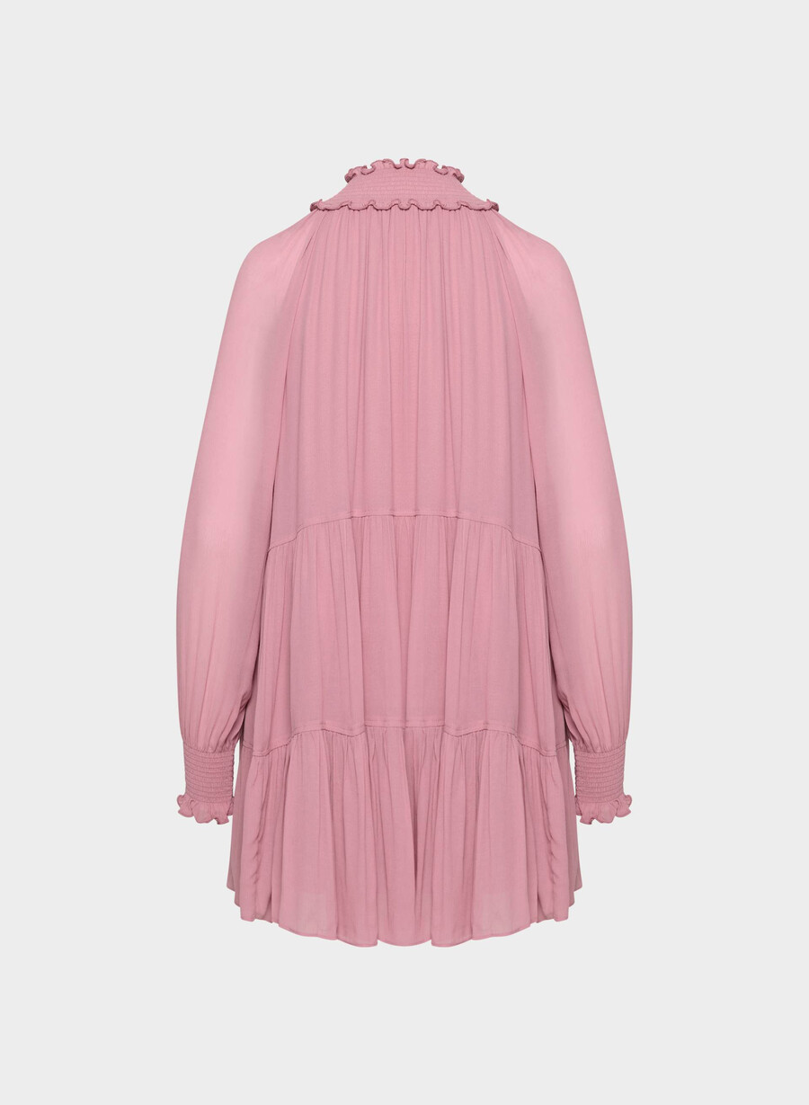 vestito di agrifoglio bacca congelata